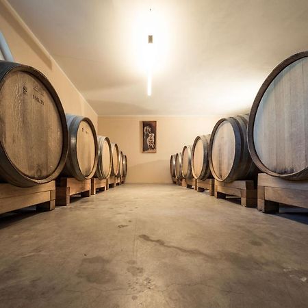 Weingut Donà Villa Appiano Sulla Strada Del Vino Ngoại thất bức ảnh