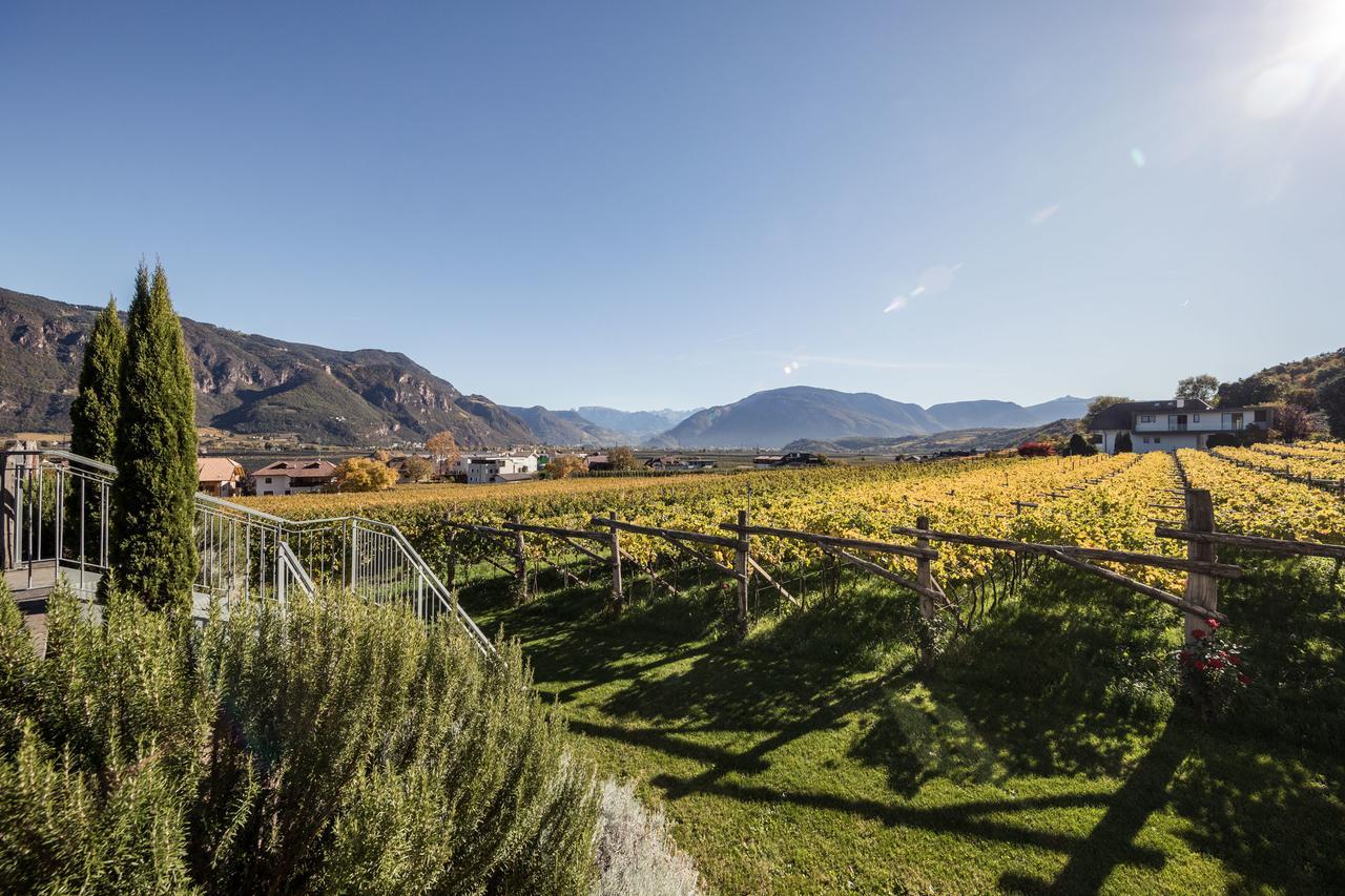 Weingut Donà Villa Appiano Sulla Strada Del Vino Ngoại thất bức ảnh