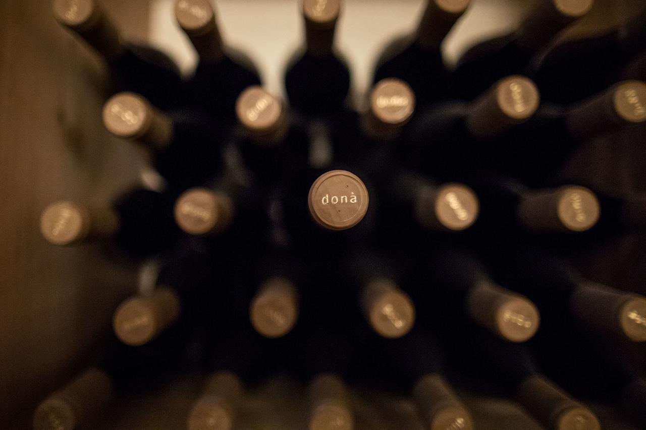 Weingut Donà Villa Appiano Sulla Strada Del Vino Ngoại thất bức ảnh