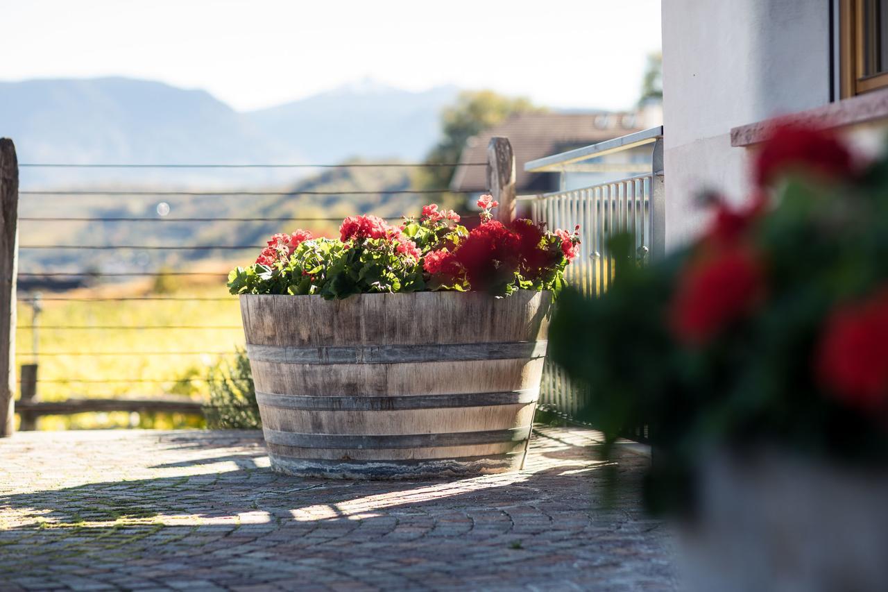 Weingut Donà Villa Appiano Sulla Strada Del Vino Ngoại thất bức ảnh